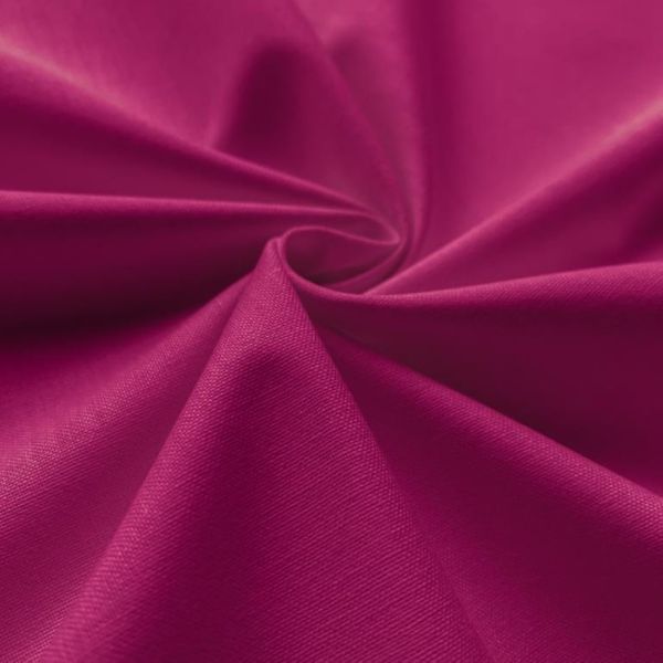 Camelia