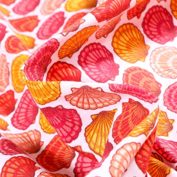 Coquillage orange