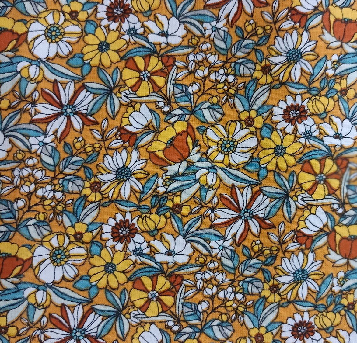 Fleur_des_champs_jaune_1