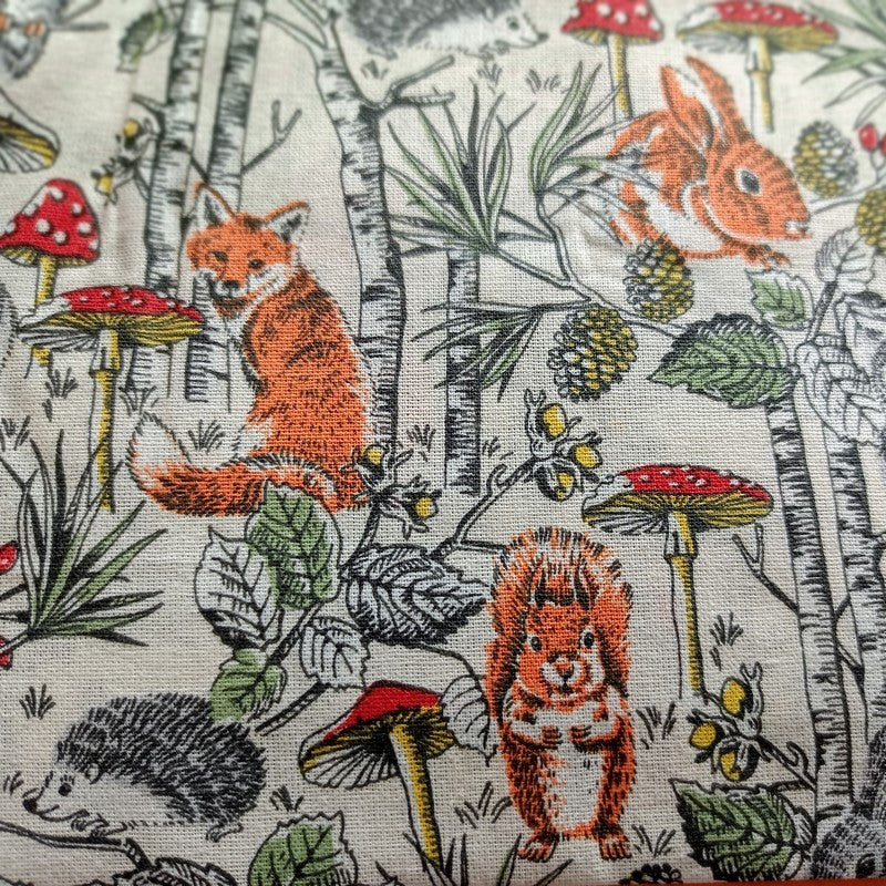 La foret champignons