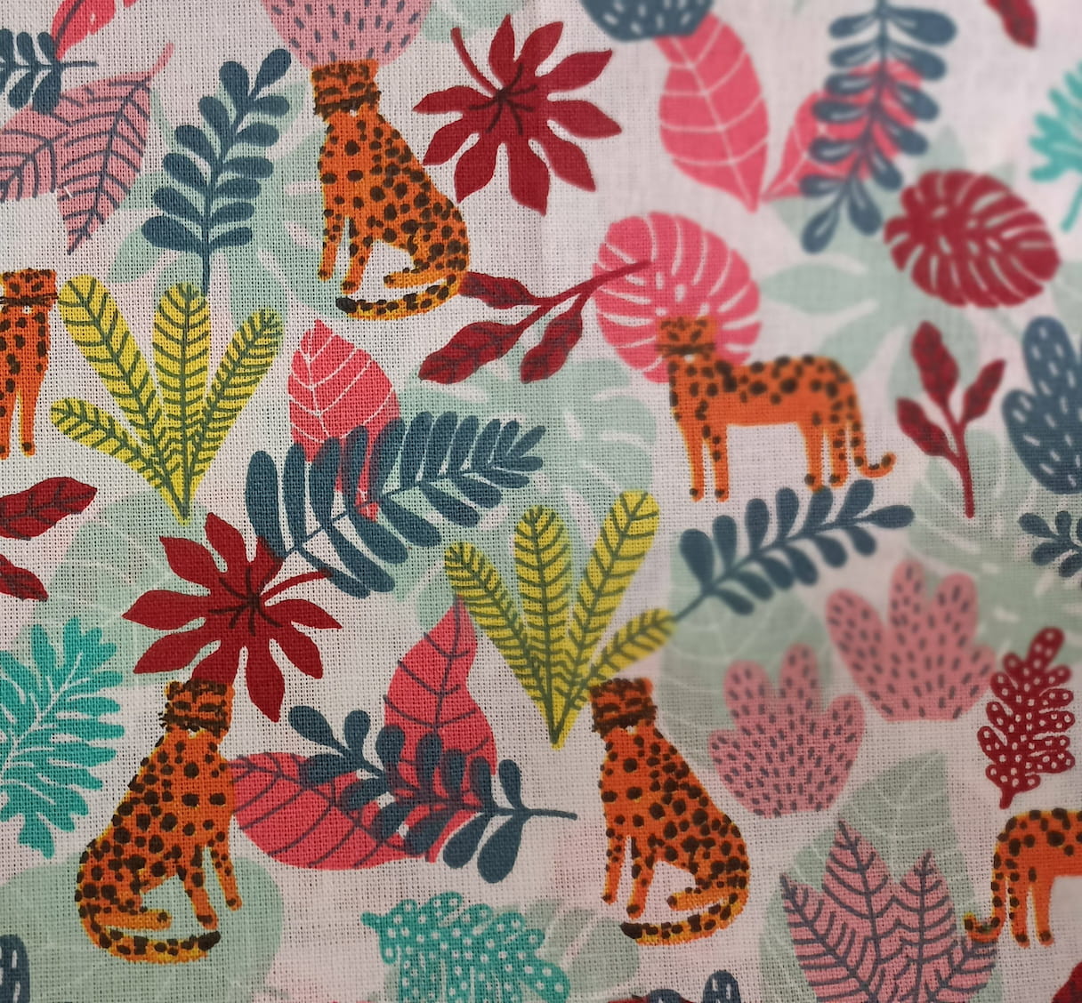Leopard