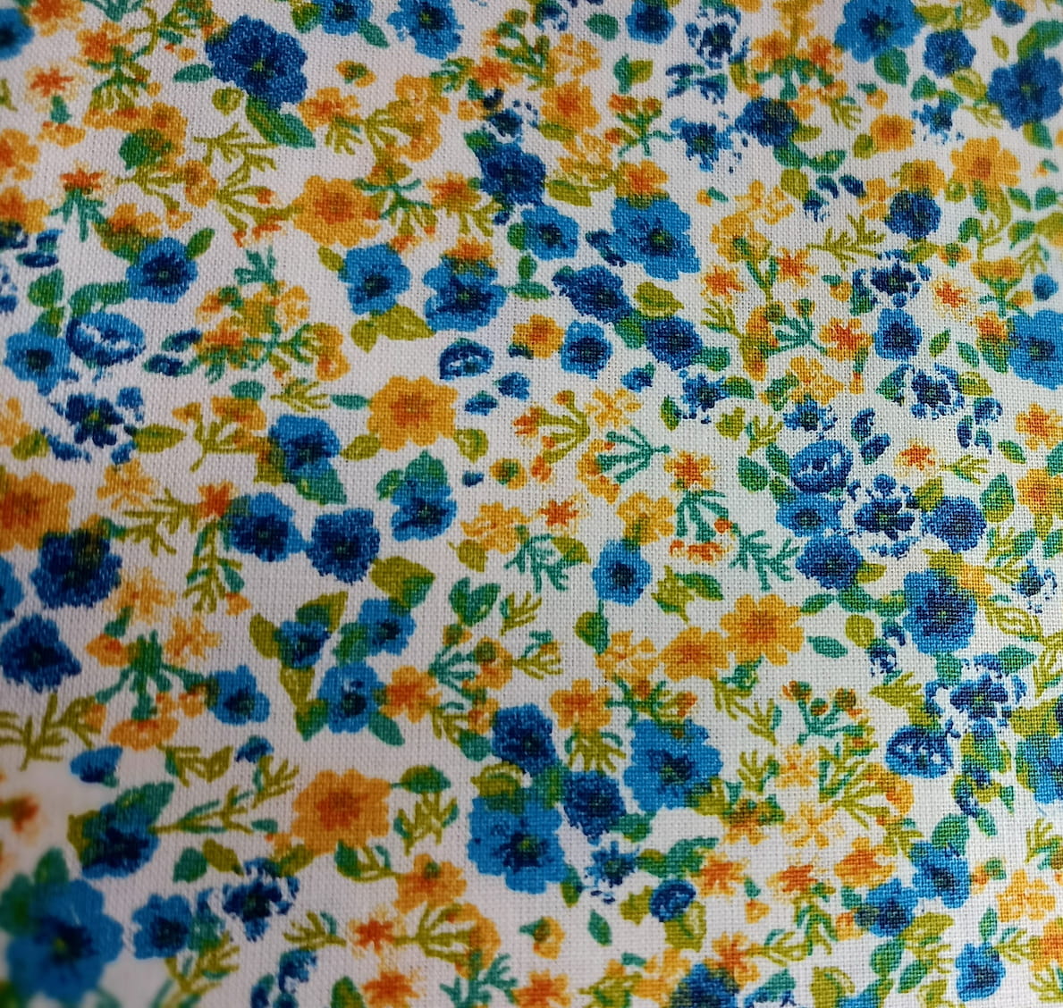 Pensee_bleu_jaune