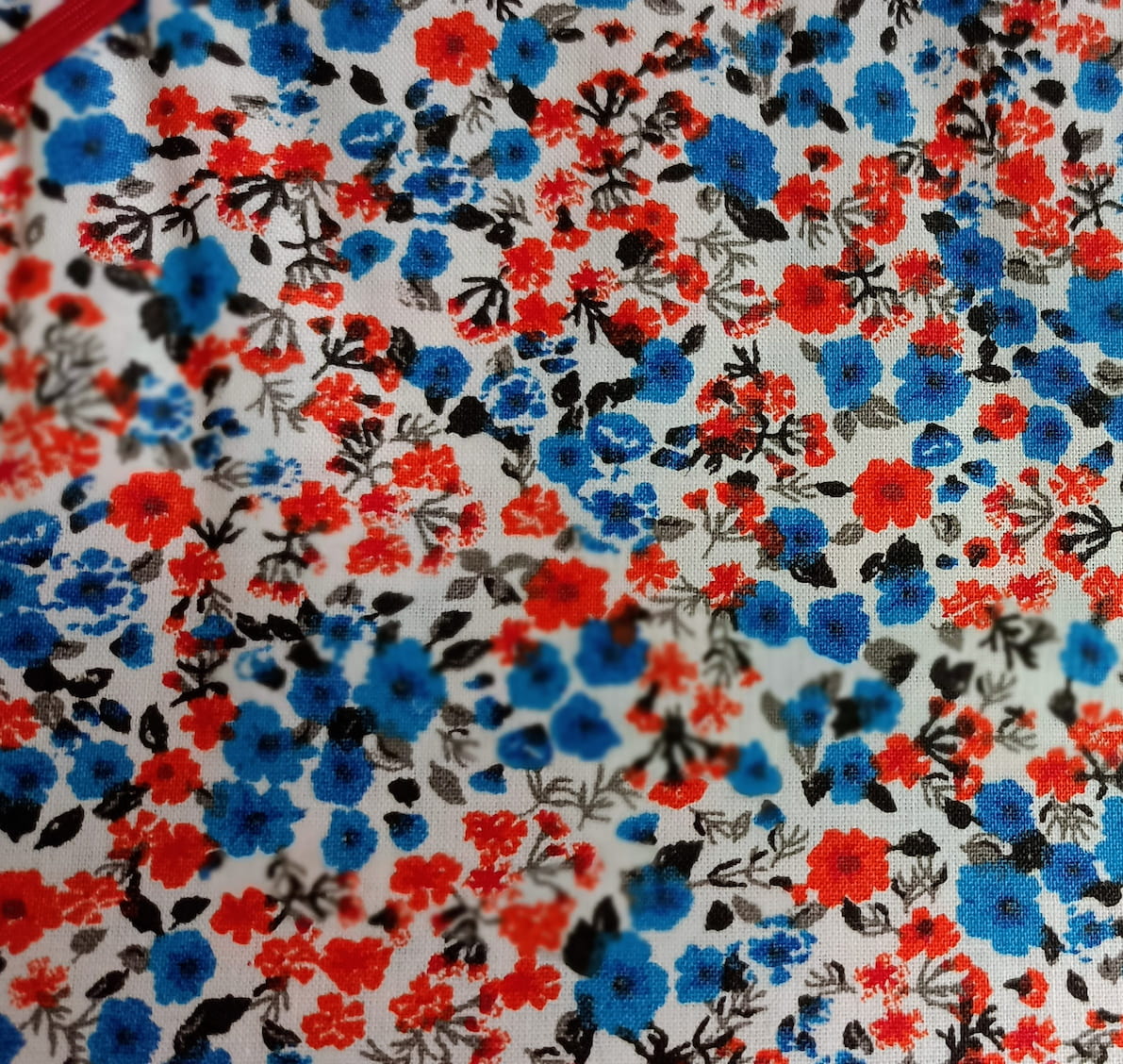 Pensee_rouge_bleu