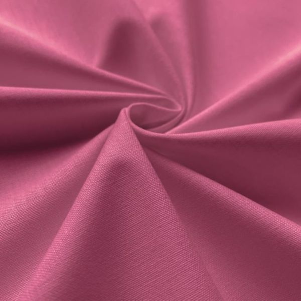 Rose orchidée